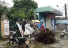 Gió lốc và mưa đá đã gây thiệt hại nặng nề tại huyện Ngọc Lặc, ước tính lên đến 17 tỷ đồng