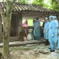 Tăng cường công tác chỉ đạo phòng phống dịch tả lợn Châu Phi tại huyện Ngọc Lặc